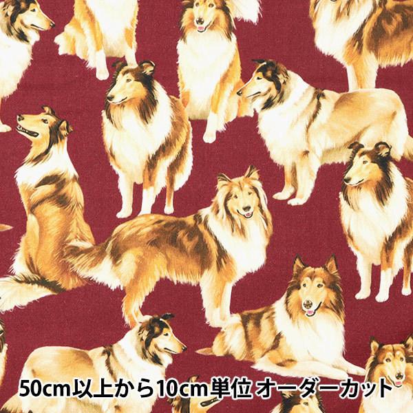 y5z n wUSARbg sAu[h C1031-MARONx