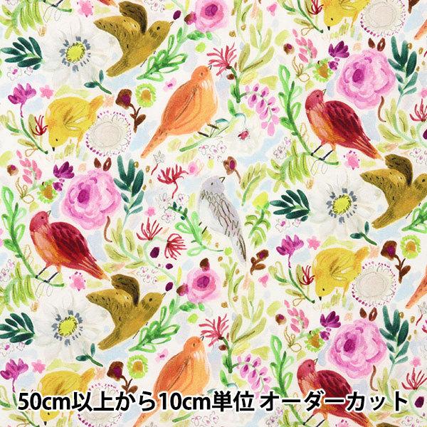 y5z n wUSARbg tCO AEFC DJL2109-MULTIx