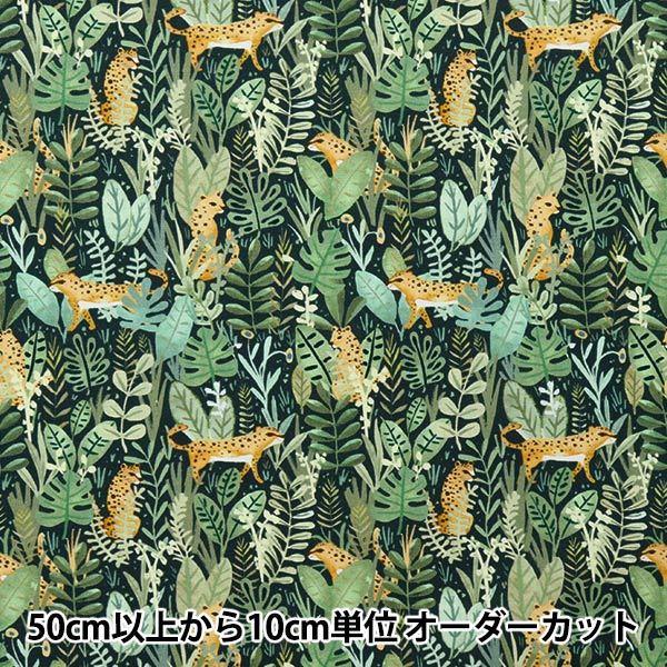 y5z n wUSARbg dearSTELLA WO DCJ2142-MULTIx