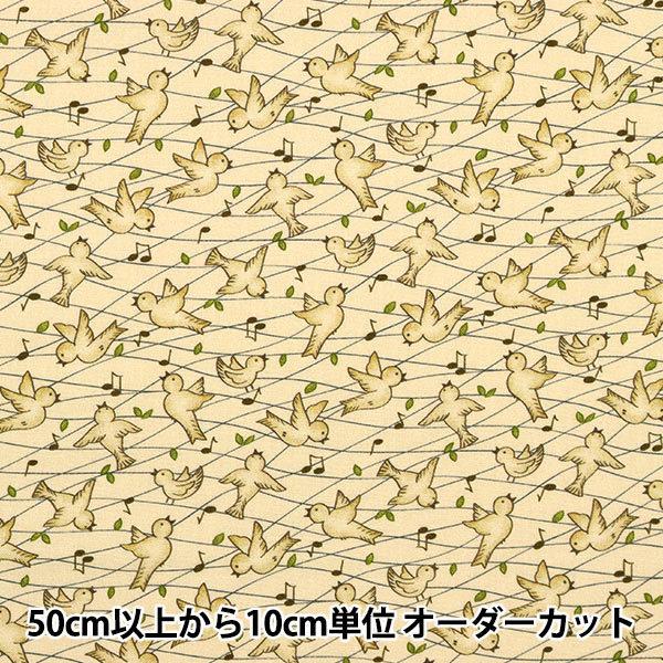 �y����5����z ���n �wUSA�R�b�g�� �G�u���E�o�[�f�B�E�c�C�[�g DDC10315-CREM-D�x