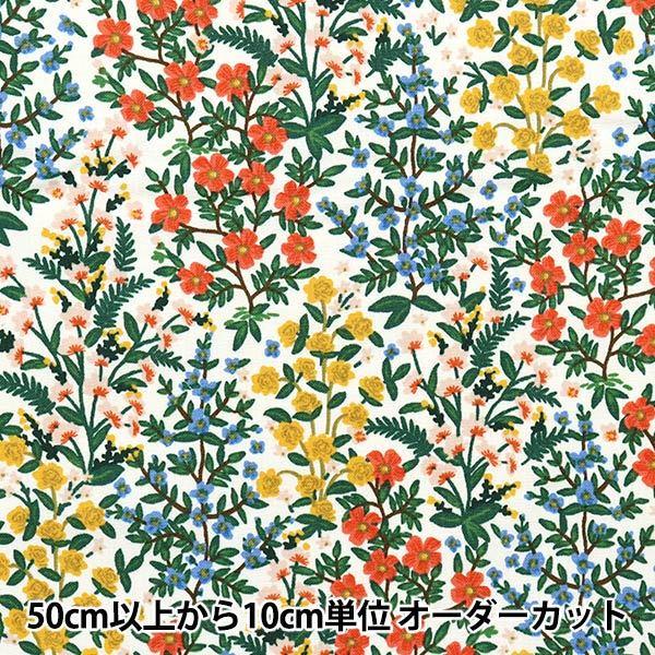 y5z n wUSARbg Jg RP705-CR2x