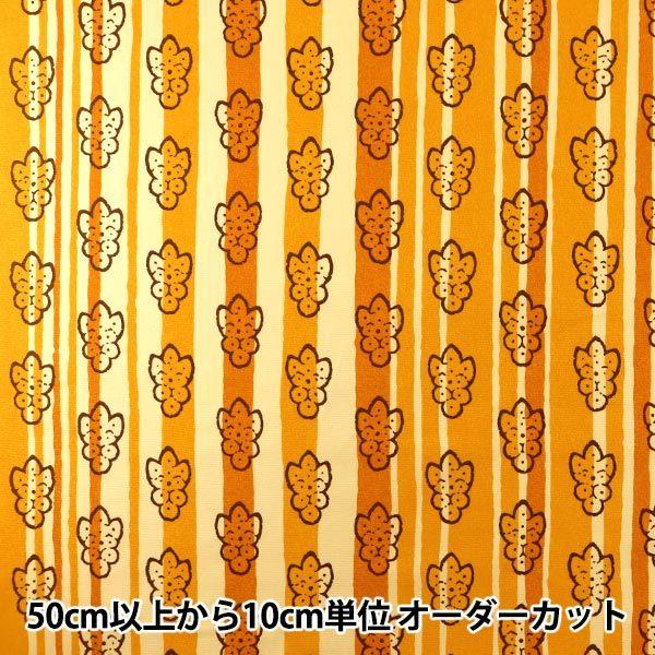 y5z n wSOULEIADO \CA[h IbNX SLFOX-55Ax