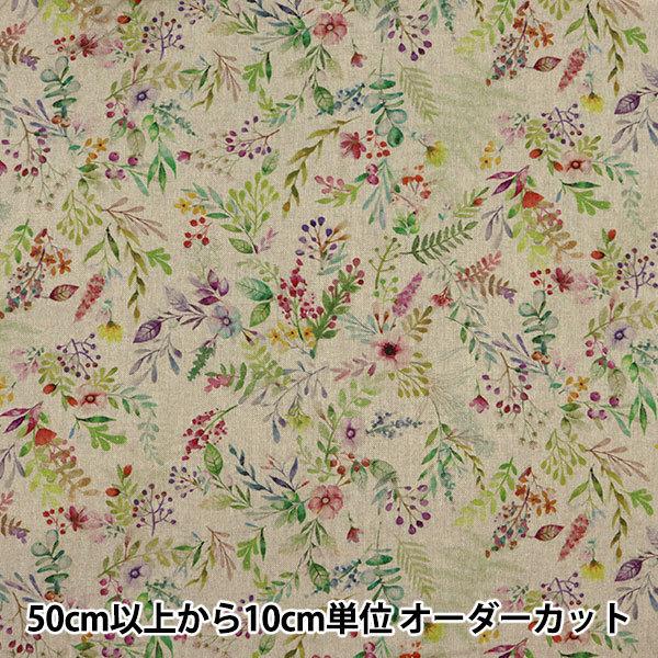 y5z n wCLARKE&amp;CLARKE Jg[K[f l F1161-01x