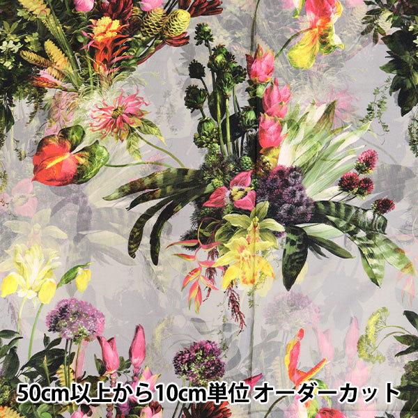 y5z n wnora. V[`O CNWFbgvg ԕ FR1011x