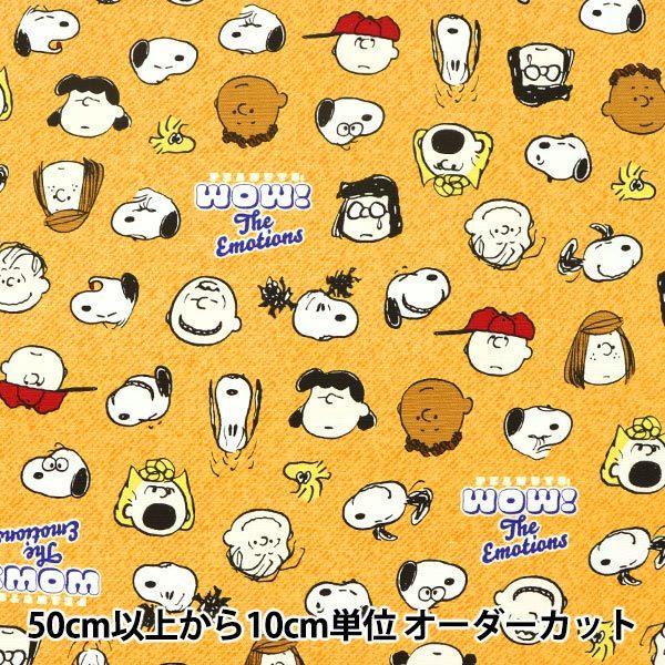 y5z n wIbNX Xk[s[ tFCX CG[ G-3597-1Cx KOKKA RbJ