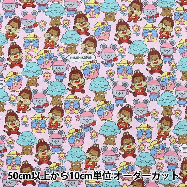 y5z n wIbNX ɂɂAՂ 1WAY sN G-8920-1Ax KOKKA RbJ