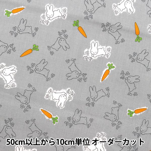 y5z n wV[`O fBbNEu[i  DF G-2020-1Ax KOKKA RbJ