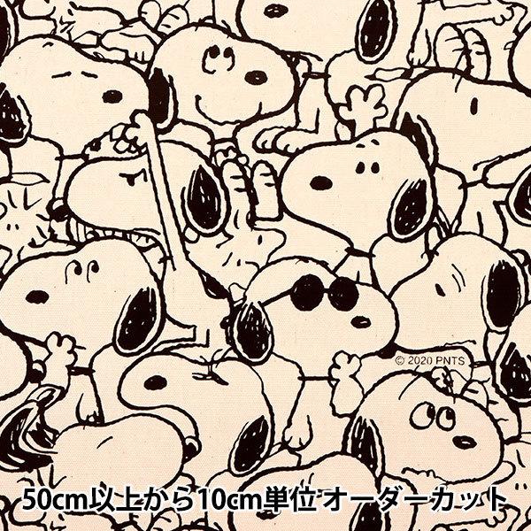 y5z n wIbNX Xk[s[ mN x[X 771126x