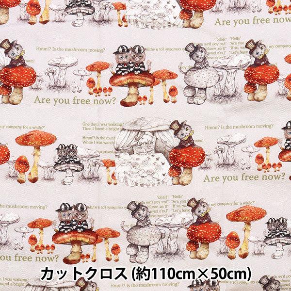 ���n �w20�I�b�N�X �}�b�V�����[���L���b�g �J�b�g�N���X ��110cm×50cm RINF-06C-ST�x