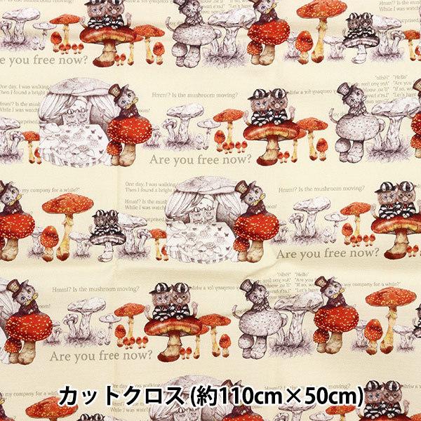 ���n �w20�I�b�N�X �}�b�V�����[���L���b�g �J�b�g�N���X ��110cm×50cm RINF-06C-CW�x