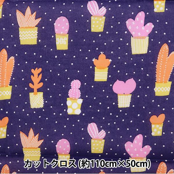 n wkippis(LbsX) [ JbgNX 110cm×50cm T{e lCr[ KPLK-09Cx