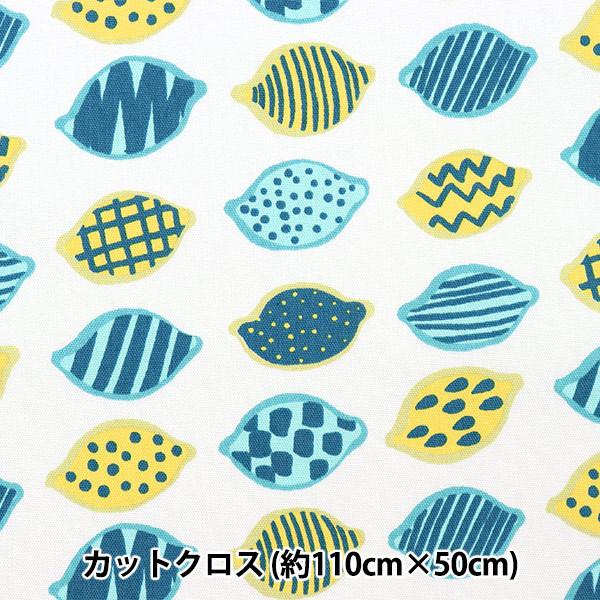 n wkippis(LbsX) IbNX JbgNX 110cm×50cm  CgO[ KPOK-58Ax