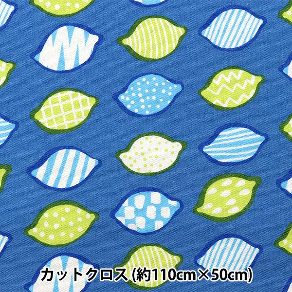 n wkippis(LbsX) IbNX JbgNX 110cm×50cm  u[ KPOK-58Cx