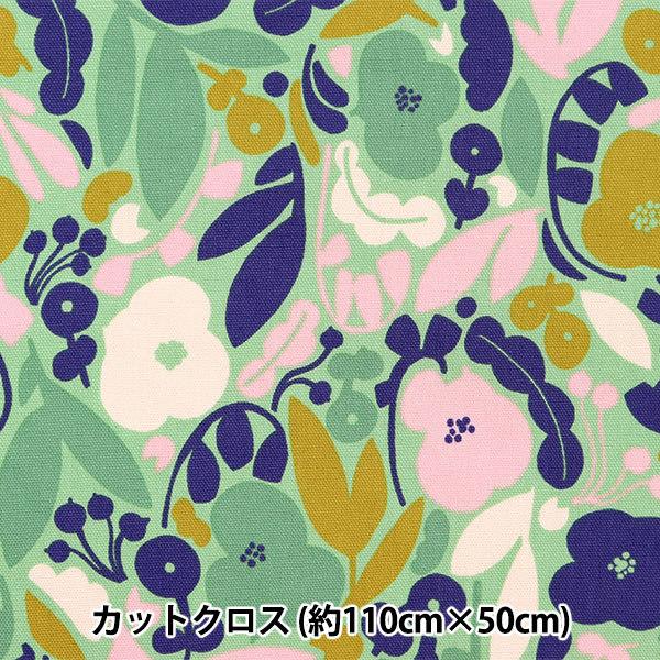 n wkippis(LbsX) IbNX JbgNX 110cm×50cm Ȓt O[ KPOK-60Cx