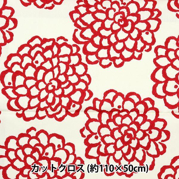 n wcC _ 110×50cmJbgNX C-UP5540-Ax