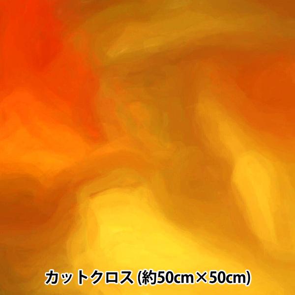 n wRIEKA Of[Vpbg 50×50cm 1158-020x