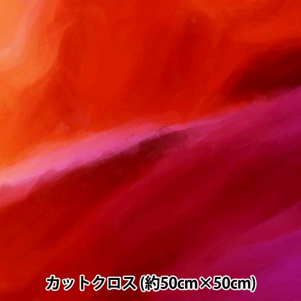 n wRIEKA Of[Vpbg 50×50cm 1182-032x