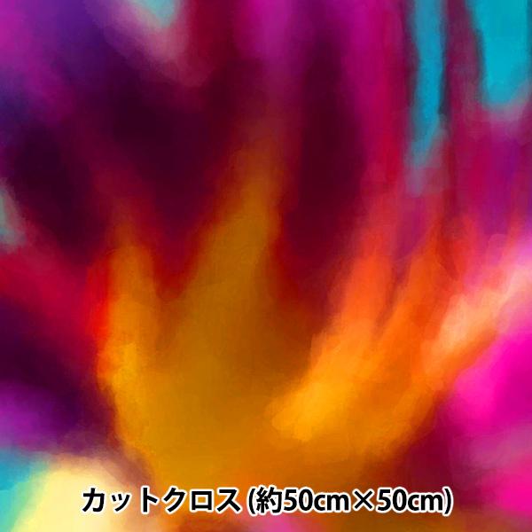 n wRIEKA Of[Vpbg 50×50cm 1188-035x