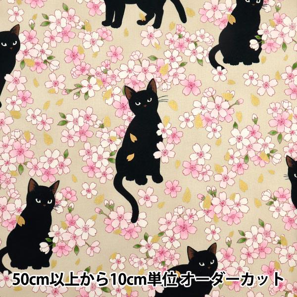 数量5から】 生地 『シーチング 百華繚蘭 黒猫と桜 アイボリー HR3520
