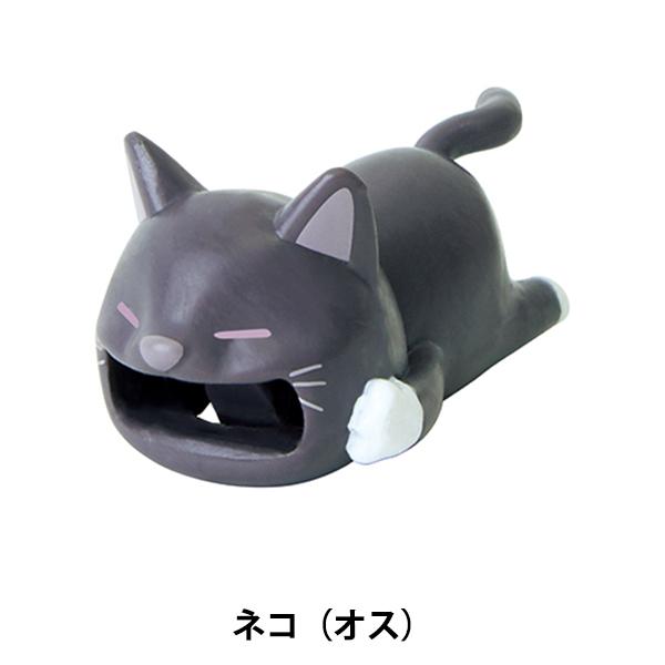 t@Xi[`[ wZIPPERBITE Cat lR IXx