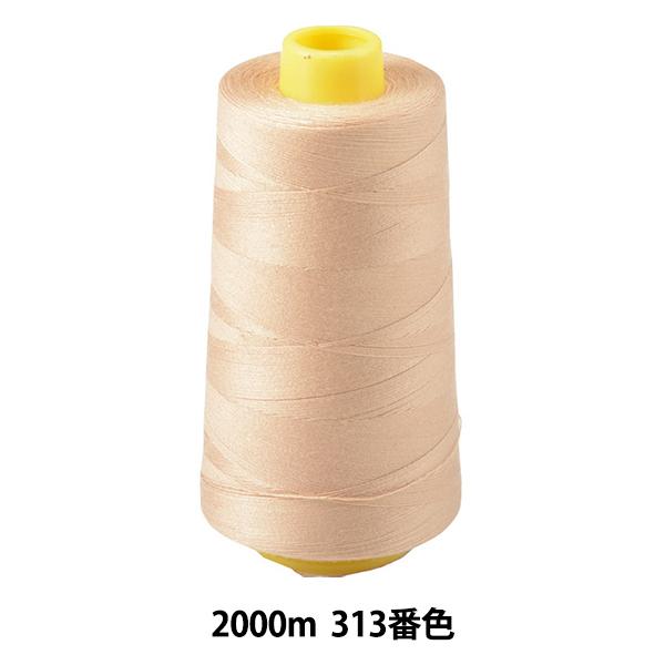 ~V w_CtFU[ egXp~V #30 2000m 313ԐFx 单N