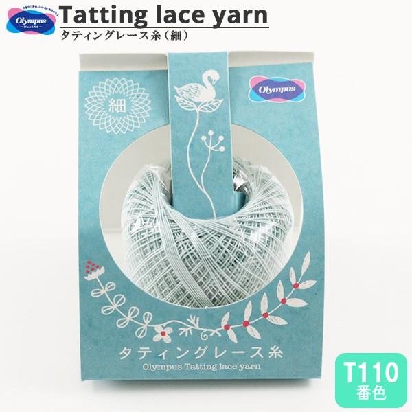 [X w^eBO[X () T110ԐFx Olympus IpX