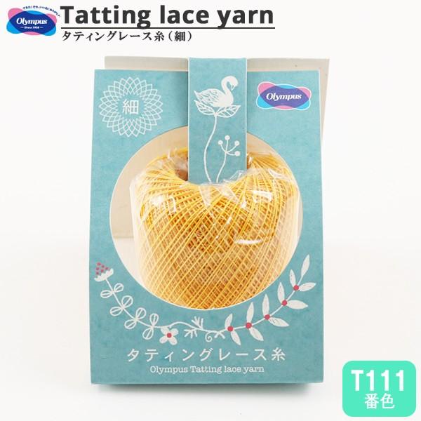 [X w^eBO[X () T111ԐFx Olympus IpX