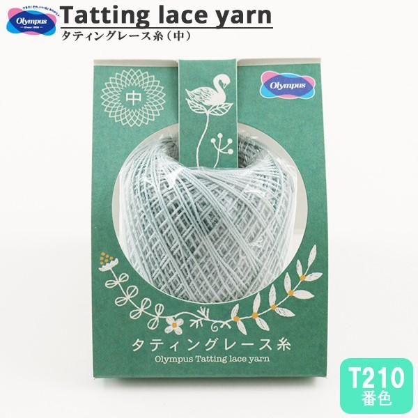 [X w^eBO[X () T210ԐFx Olympus IpX