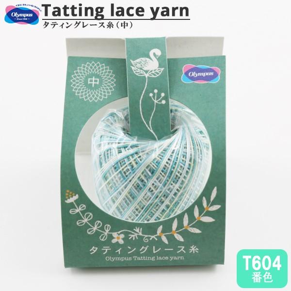 [X w^eBO[X () Jt T604ԐFx Olympus IpX