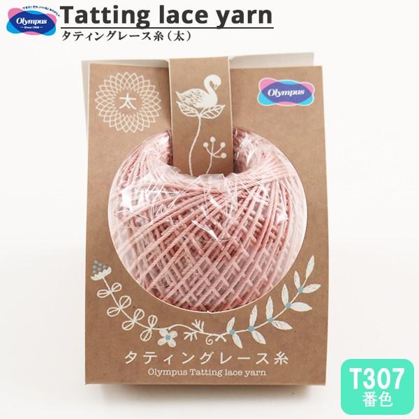 [X w^eBO[X () T307ԐFx Olympus IpX