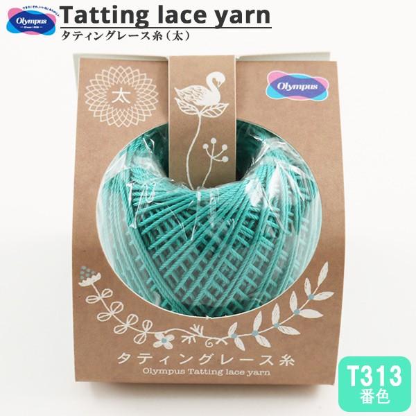 [X w^eBO[X () T313ԐFx Olympus IpX