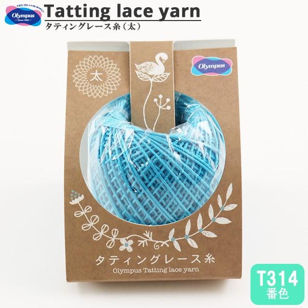 [X w^eBO[X () T314ԐFx Olympus IpX