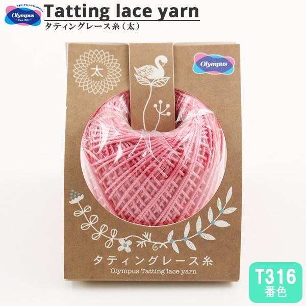 [X w^eBO[X () T316ԐFx Olympus IpX