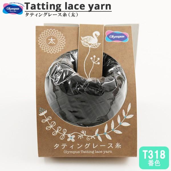 [X w^eBO[X () T318ԐFx Olympus IpX