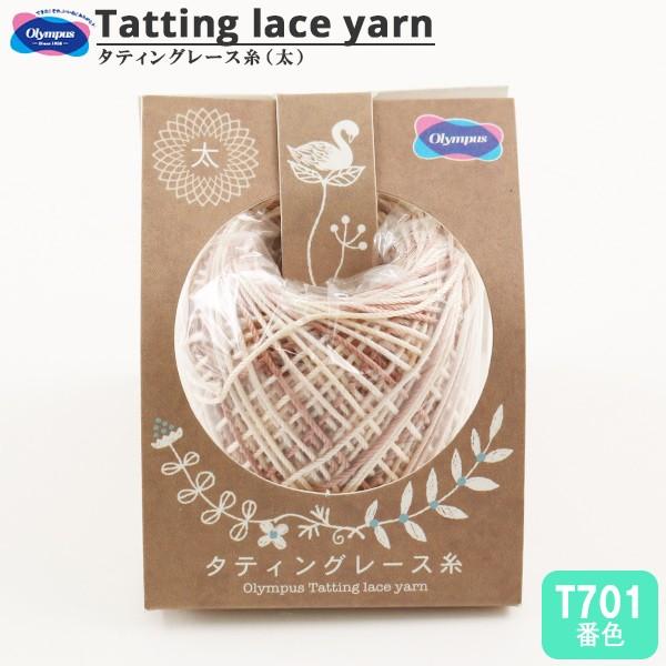 [X w^eBO[X () Jt T701ԐFx Olympus IpX