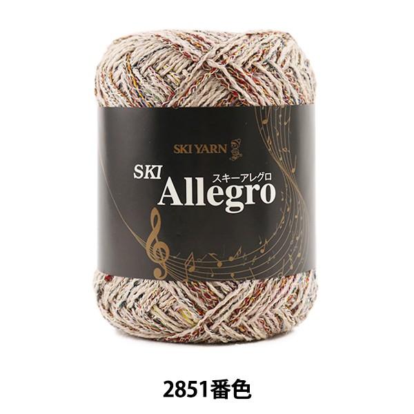 H~ю wSKI Allegro (XL[AO) 2851ԐFx SKIYARN XL[[