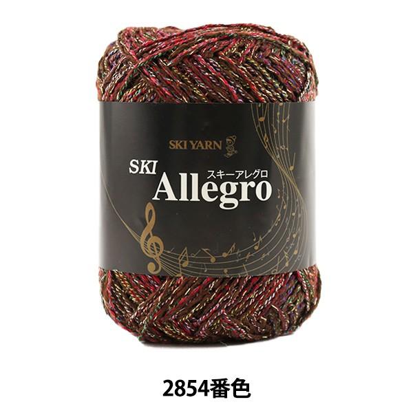 H~ю wSKI Allegro (XL[AO) 2854ԐFx SKIYARN XL[[