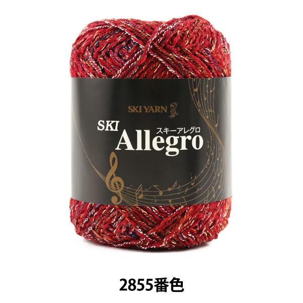 H~ю wSKI Allegro (XL[AO) 2855ԐFx SKIYARN XL[[
