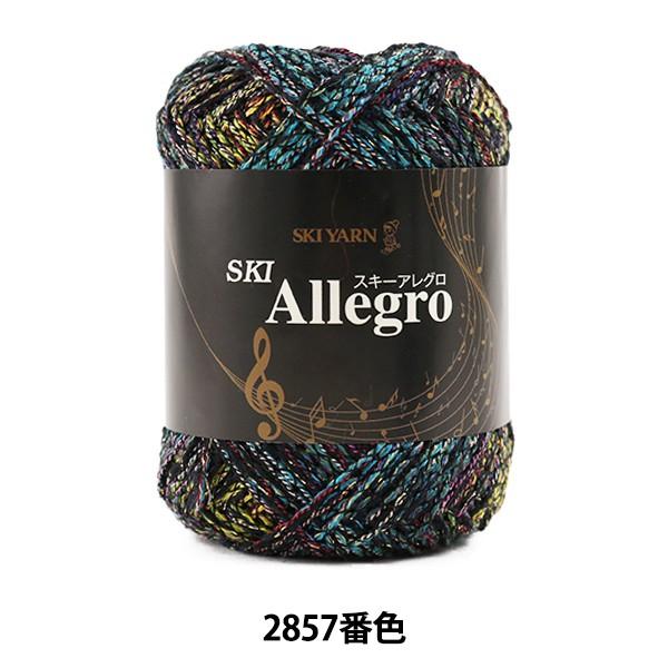H~ю wSKI Allegro (XL[AO) 2857ԐFx SKIYARN XL[[