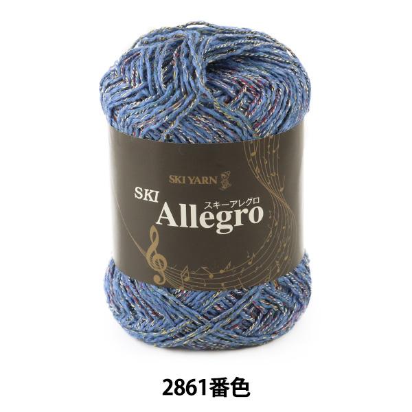 H~ю wSKI Allegro (XL[AO) 2861ԐFx SKIYARN XL[[