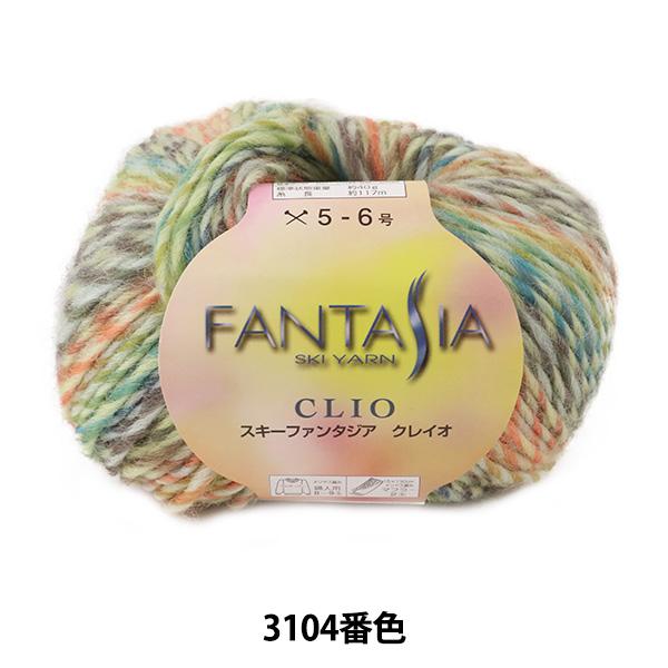 H~ю wFANTASIA CLIO (t@^WA NCI) 3104ԐFx SKIYARN XL[[