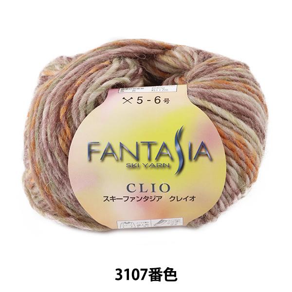 H~ю wFANTASIA CLIO (t@^WA NCI) 3107ԐFx SKIYARN XL[[