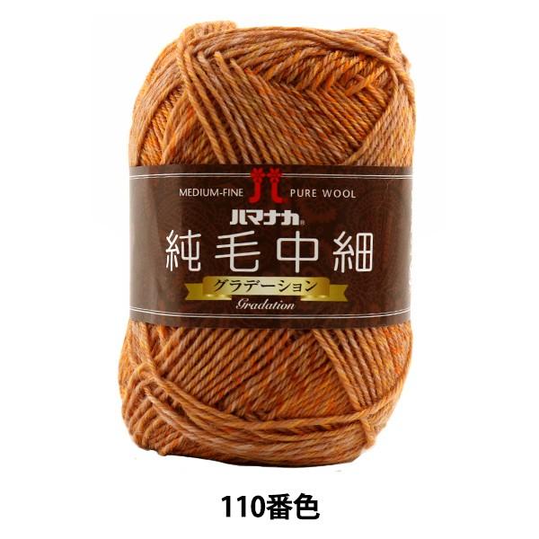 H~ю wђ (Of[V) 110ԐFx Hamanaka n}iJ