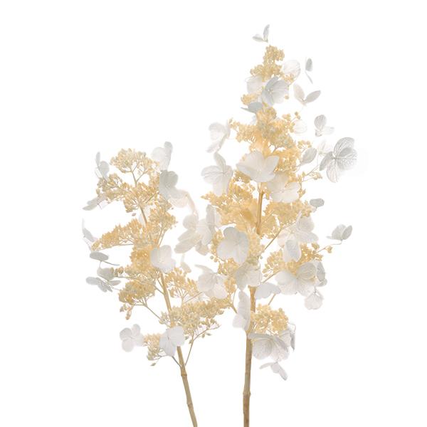 軸を活かしてブーケにもそのまま使えたり、お店のディスプレイにも使える素材です。[プリザーブドフラワー ドライフラワー ソフトノリウツギ オフホワイト 白 しろ 手作り 材料 ディスプレイ ブーケ ]◆サイズ:約65cmL/1束(約2本)