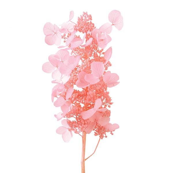 軸を活かしてブーケにもそのまま使えたり、お店のディスプレイにも使える素材です。[プリザーブドフラワー ドライフラワー ソフトノリウツギ ベビーピンク ピンク 手作り 材料 ディスプレイ ブーケ]◆サイズ:約65cmL/1束(約2本)