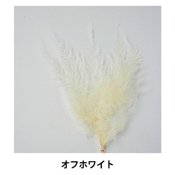 人気の定番素材・アスパラ・ショートに特徴的で繊細な葉が際立つ、ホワイトカラー。[手芸 ハンドメイド 手作り 花材 資材 造花 ブリザーブド プリザーブド フラワーアレンジメント ブーケ リース 白 WHITE オフホワイト クリーム]◆サイ...