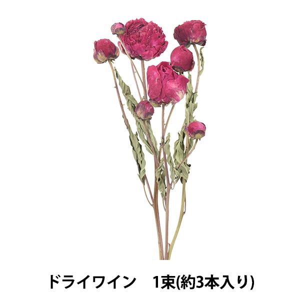 ドライフラワー シャクヤク ドライ ワイン 103 480 ユザワヤ 通販 Paypayモール