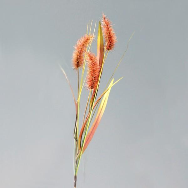 猫じゃらし 農業資材 ガーデニング用品の人気商品 通販 価格比較 価格 Com