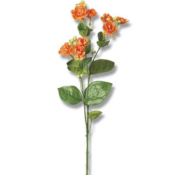 ���� �h���C�t�����[ �w�W���X�~��×9 �ڂ�×19 �I�����W A-32830-030�x asca �A�X�J����