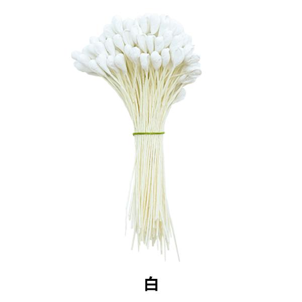 A[gt[ޗ wybv   144{x